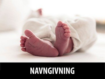 Navngivning